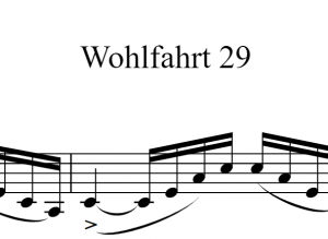 沃尔法特 练习曲 29 Wohlfahrt No.29