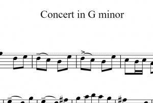 Allegro RV 317 No 1 Vivaldi