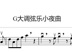 G大调弦乐小夜曲 简单版本 – 莫扎特