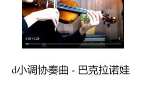 d小调协奏曲 d minor – 巴克拉诺娃