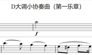 D大调小协奏曲（第一乐章）[里丁]