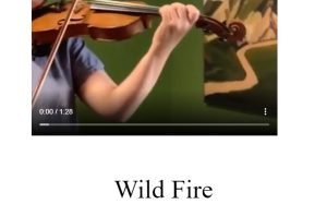 Wild fire AMEB 6
