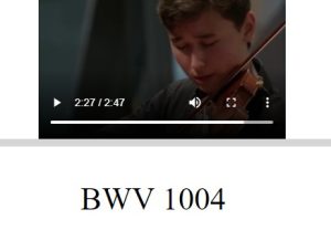 Violin Partita No.2 in D minor 巴赫 BMV1004 Allemande