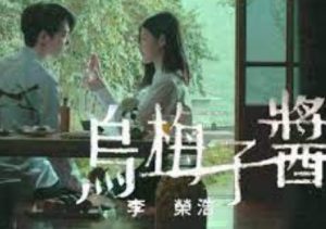 乌梅子酱