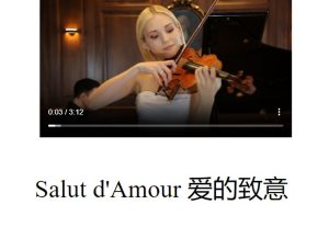 爱的致意 Salut d’amour
