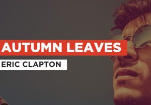 Autumn leaves